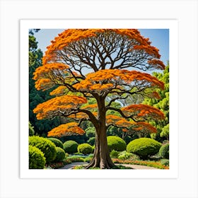 Orange Tree In The Garden Art Print