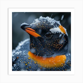 King Penguin 19 Art Print