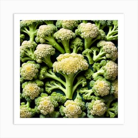 Florets Of Broccoli 22 Art Print