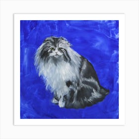 Blue Cat Square Art Print
