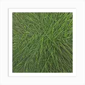 Grass Background 20 Art Print