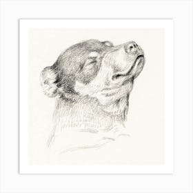 Head Of A Sleeping Dog, Jean Bernard Art Print