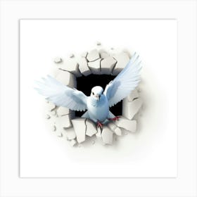 White Dove Art Print