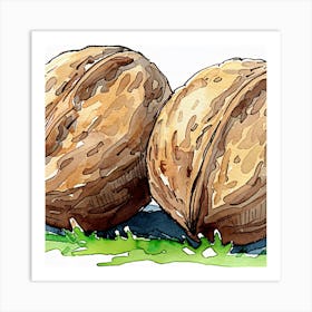 Walnuts Art Print