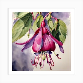 study of a fuchsia Art Print