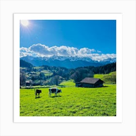 Alpine Pastoral Landscape Cows Grazing On Lush Green Slopes Snow Capped Mountains In The Distance (7) Art Print