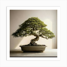 Firefly Elegant Bonsai Tree In A Tranquil Minimalist Design 11335 (2) Art Print