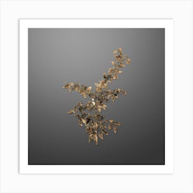 Gold Botanical Rock Buckthorn on Soft Gray n.2865 Art Print