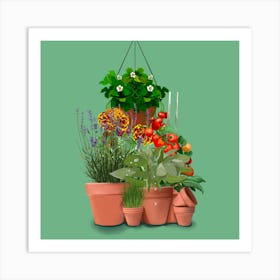 Garden Hanging Pots Art Print