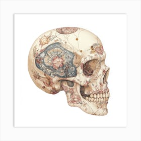 Skull With Flowers 20 Art Print