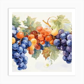 Grapes On The Vine Art Print