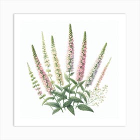 Flowers of Mignonette Art Print