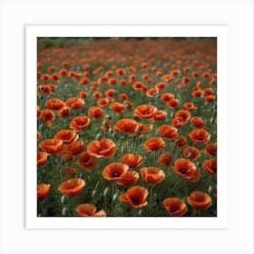 Poppy Field 3 Art Print