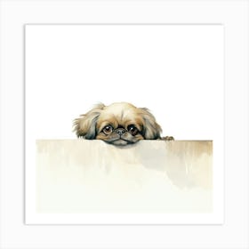 Pekingese Dog 1 Art Print