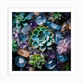 Succulents And Stones Art Print