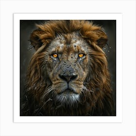 Royal Lion Art Print