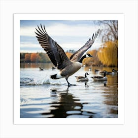 Canadian Geese 35 Art Print