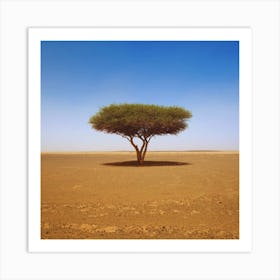 Acacia Tree In The Desert Art Print