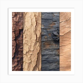 Tree Bark Texture 1 Art Print