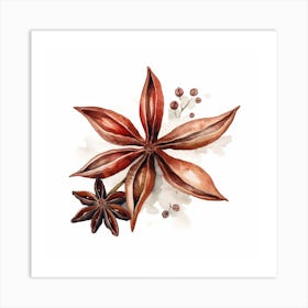 Watercolor Illustration Of Anise Art Print