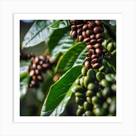 Coffee Beans On The Tree 3 Art Print