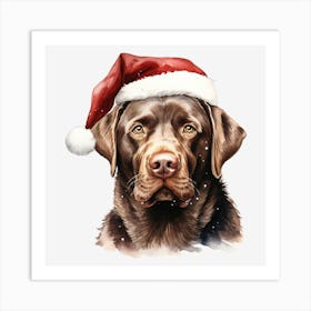 Chocolate Labrador Art Print