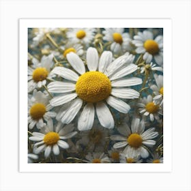 Daisy 1 Art Print