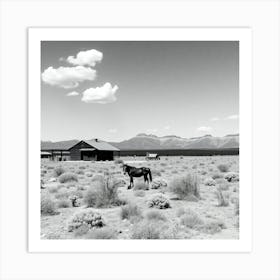 Horses In The Desert Art Print