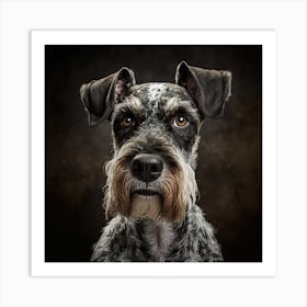 Portrait Of A Schnauzer 1 Art Print