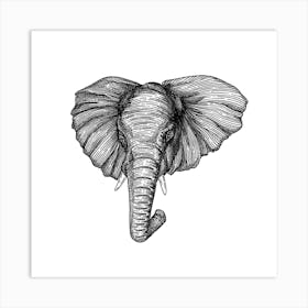 Elephant Square Art Print