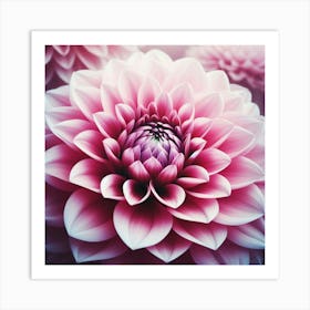 Large pink Dahlia flower 2 Art Print