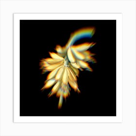 Prism Shift Banana Botanical Illustration on Black n.0315 Art Print