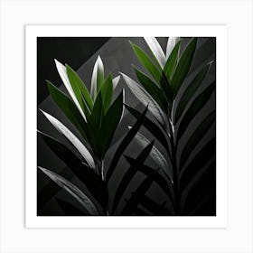 Black And White Plants Art Print