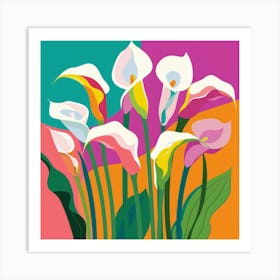 Calla Lilies 3 Art Print