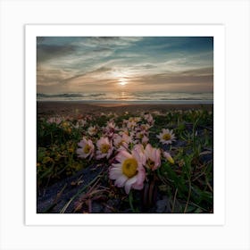 Pink Flowers On The Beach Art Print