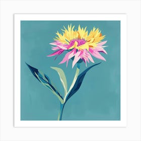 Cornflower 1 Square Flower Illustration Art Print