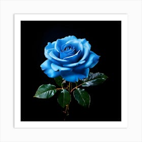 Blue Rose Art Print