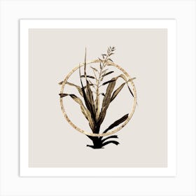 Gold Ring Pitcairnia Bromeliaefolia Glitter Botanical Illustration Art Print