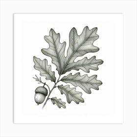 Line Art oak leaves 1 Art Print