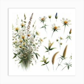 Flower of Cow-wheat 2 Art Print