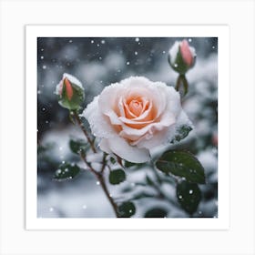 Snowy Rose Art Print