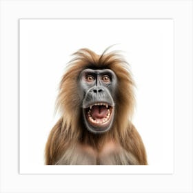 Baboon Art Print