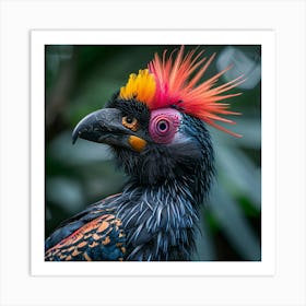 Colorful Hornbill Art Print