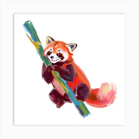 Red Panda 07 Art Print