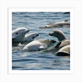 Dolphins In The Water Art Print