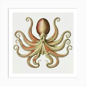 Octopus Art Print