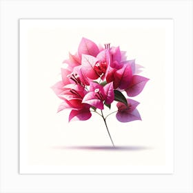 Pink Bougainvillea Flowers Art Print