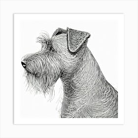 Schnauzer 2 Art Print