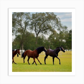 Horses Galloping In A Field Photo Art Print