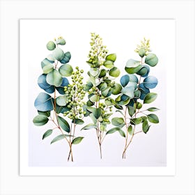 Eucalyptus art Art Print